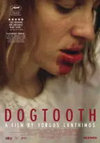 Dogtooth preview
